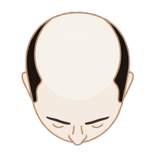 Nível 6